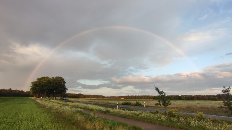 Bogenförmiger Regenbogen über einer Wiese unter bewölktem Himmel.